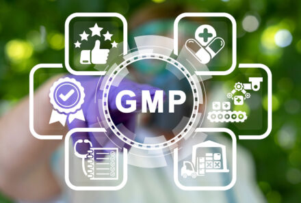 Beyond Paper: Unlocking the Power of Electronic SOPs for GMP Compliance