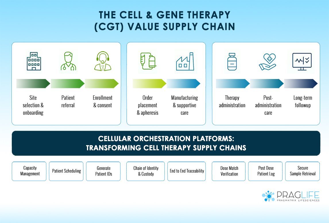 Why Cell Therapy Supply Chains Need Cellular Orchestration Platforms